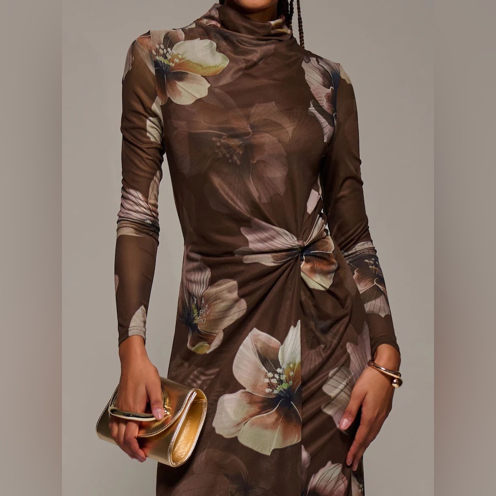 Jolie Moi Brown High Neck Long Sleeve Mesh Maxi Dress - Picture 2 of 9
